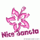   nice Banota