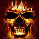   the_skull