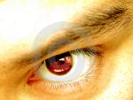   maged